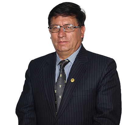PLINIO AUCCA BACA