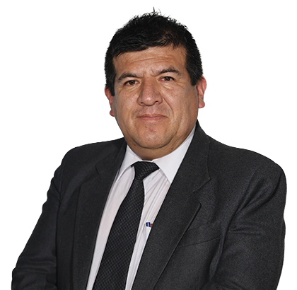 WARNER HANS FELIX FLORES