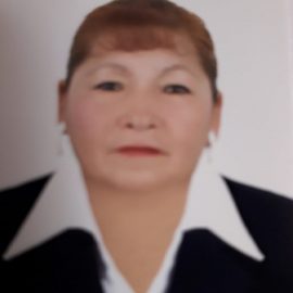 adm-elena-soto