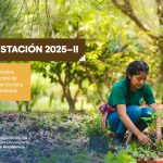 Convocatoria a voluntarios: Reforestación 2025-II