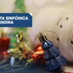 Concierto navideño: Orquesta Sinfónica de la UAndina